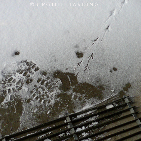 footprints in snow